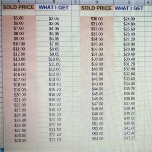 Spreadsheet of Sold Prices and Earnings